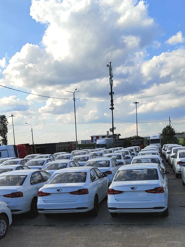 Стоянка легковых автомобилей ответственное хранение около Внуково